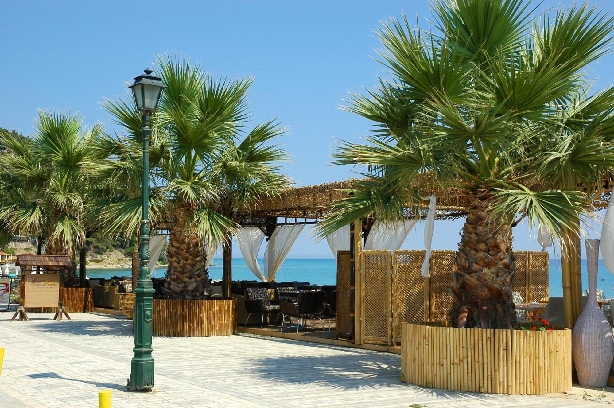 Xenios Possidi Paradise Hotel Bagian luar foto
